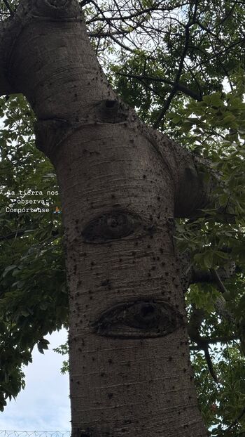 Patricia elena tiparu leaked private content