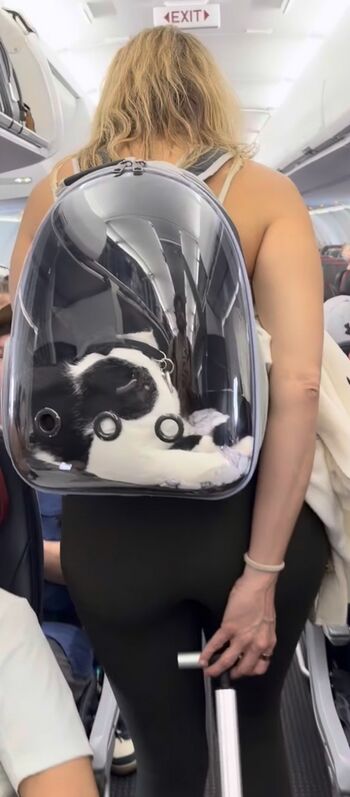Hujiaozi leaked private content