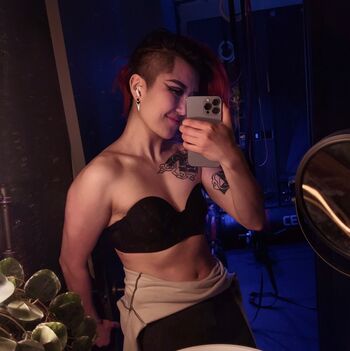 Fareeha leaked private content