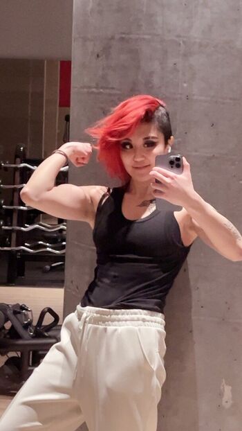 Fareeha leaked private content