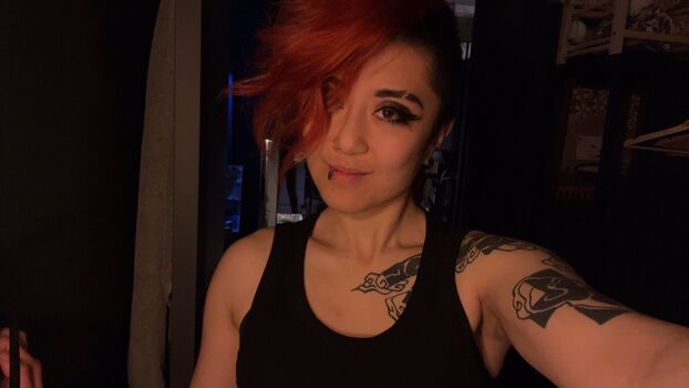 Fareeha leaked private content