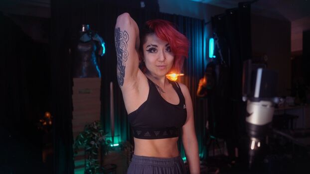 Fareeha leaked private content