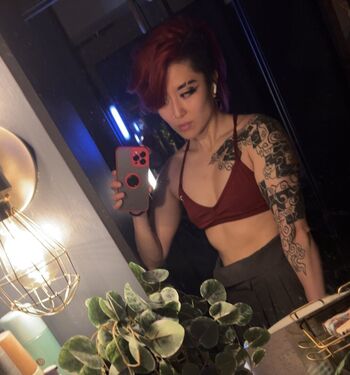 Fareeha leaked private content