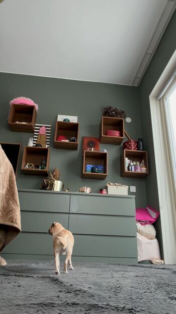 Nezumi nemurin/ leaked private content