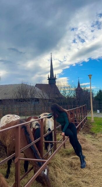 Haesicks / leaked private content