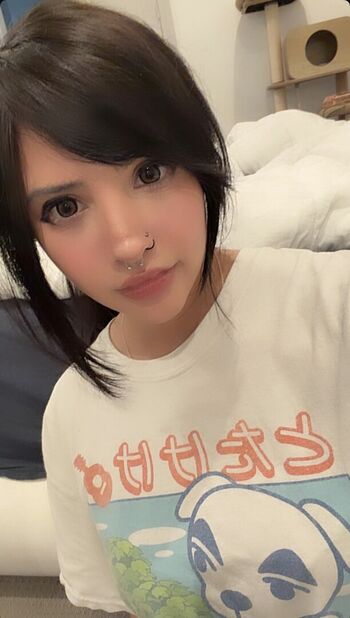 Noodlenom leaked private content