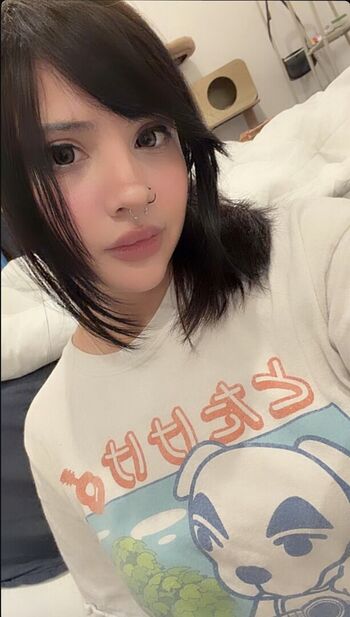 Noodlenom leaked private content