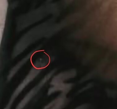 Steviegxo/ leaked private content