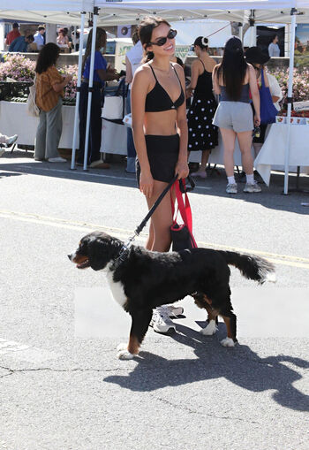 Sara saffari naakt leaked private content