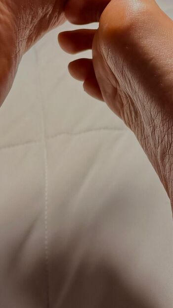 Tray fitfever tray soe leaked private content