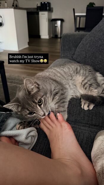 Tray fitfever tray soe leaked private content