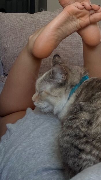 Tray fitfever tray soe leaked private content