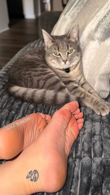 Tray fitfever tray soe leaked private content