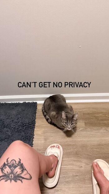 Tray fitfever tray soe leaked private content